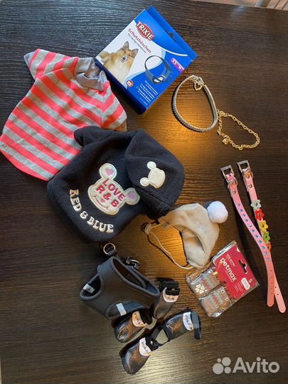 Вещи, одежда для маленьких собак XS-S