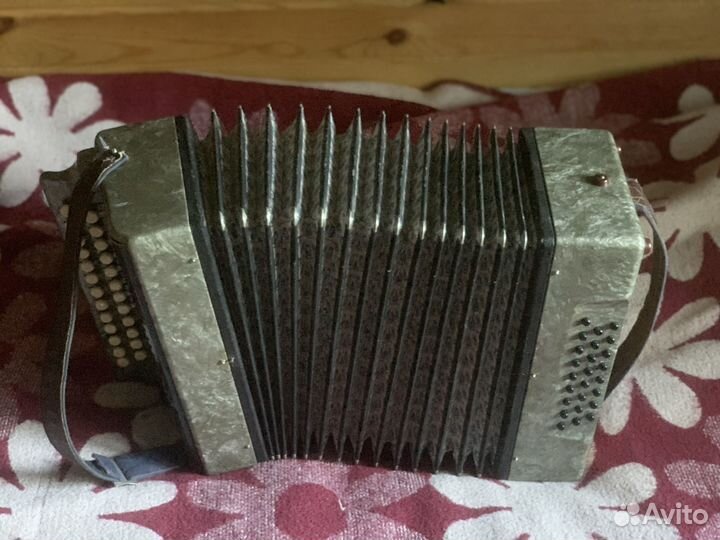 Гармонь чайка 2