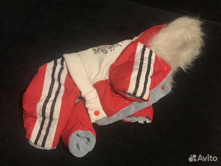 Одежда для маленьких собак