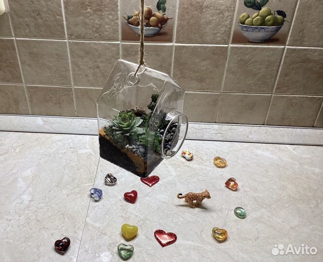 Мини флорариум