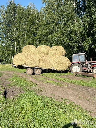 Сено 500кг