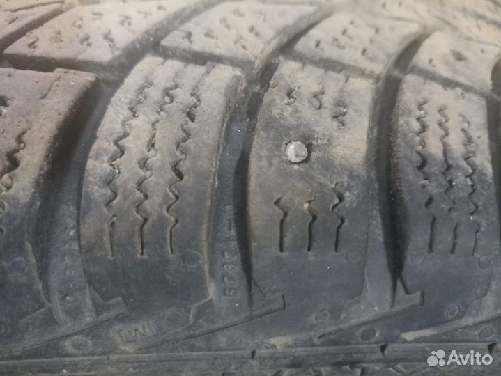 Gislaved Nord Frost 5 195/65 R15