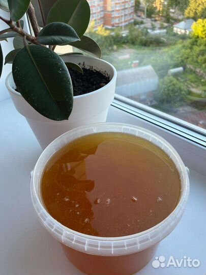 Свежий мёд 2023