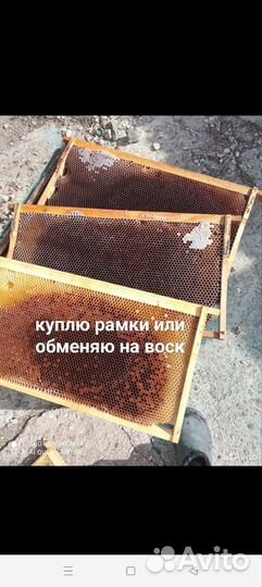 Рамки с сушью