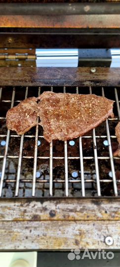 Электрошашлычница