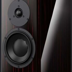 Акустика Dynaudio Special Forty 40, Black Vine Hig