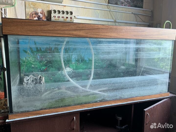 Аквариум с тумбой 400 литров