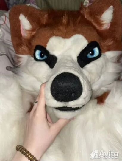 Фурсьют фурри реалистик парт