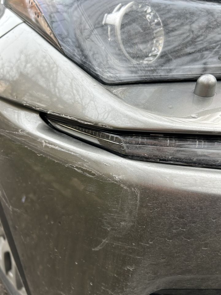 Skoda Octavia: фото владельца