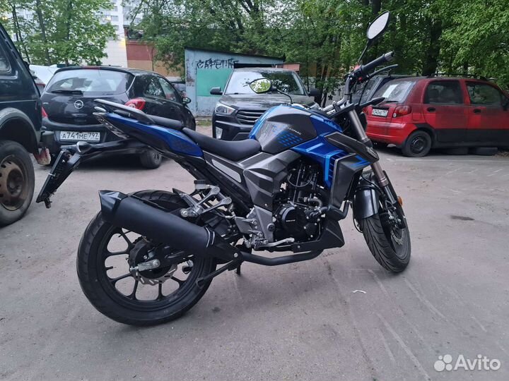 Regulmoto T-Leopard 300