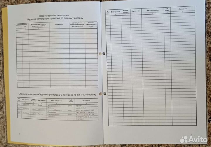 Журнал регистрации приказов по личному составу