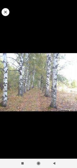 Участок 30 сот. (ИЖС)