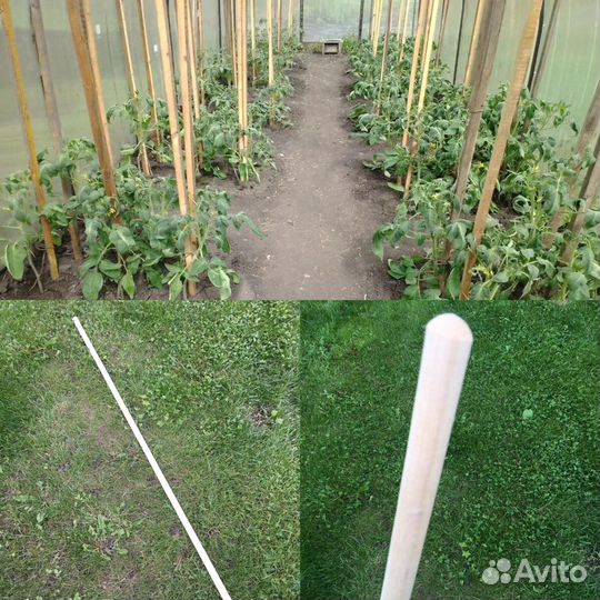 Черенки для подвязки растений