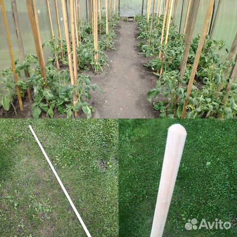 Черенки для подвязки растений