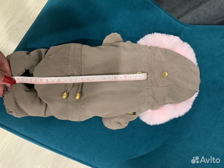 Одежда для собак мелких пород