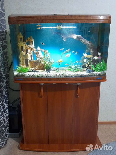 Аквариум jebo r390