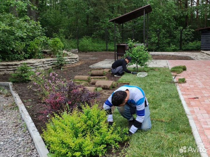 Качественный газон