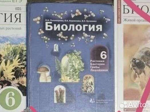 6 класс Биология, английский 6 класс