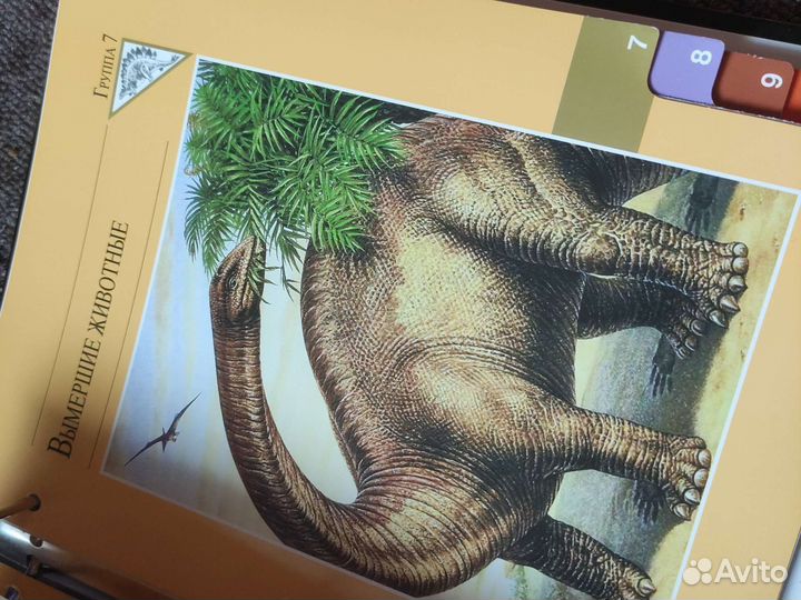 Книга о животных интересная