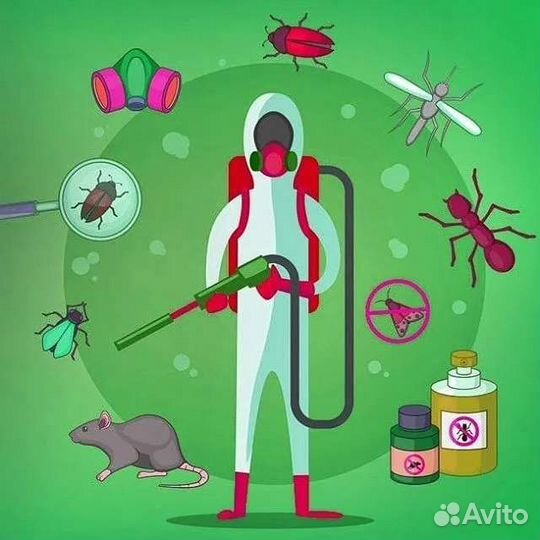 Уничтожение клопов, тараканов и прочих вредителей