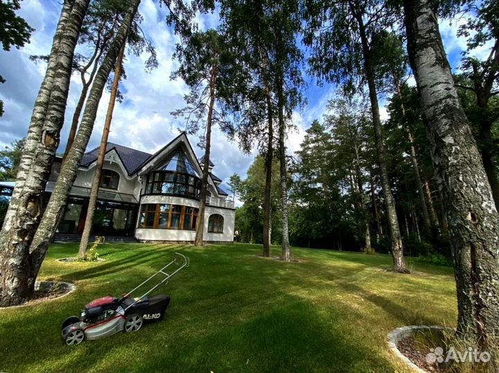 Газон в рулоне