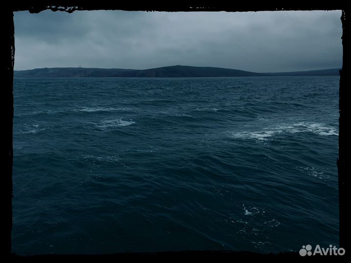 Видеосъёмка, видеомонтаж, оператор