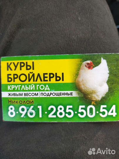 Бройлеры живым весом