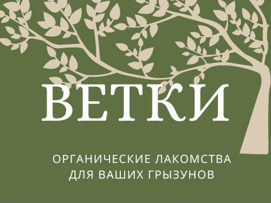 Лакомство для грызунов, веточки