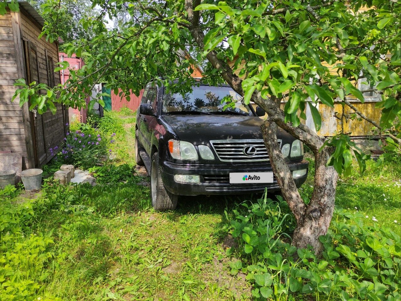 Lexus LX: фото владельца
