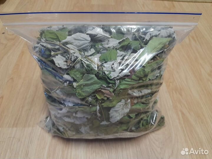 Корм для палочников малина