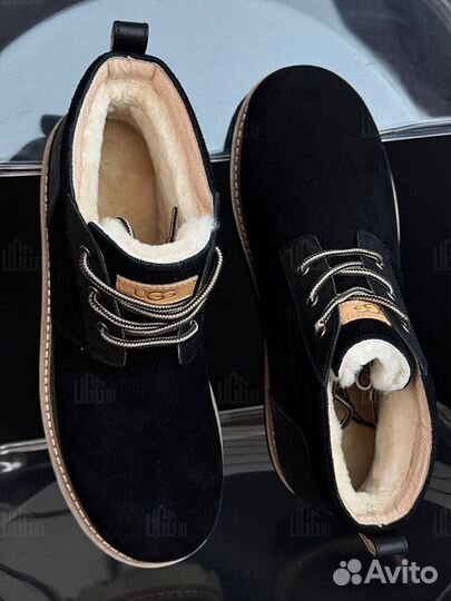 Ботинки Зимние Угги Ugg Neumel Gentleman