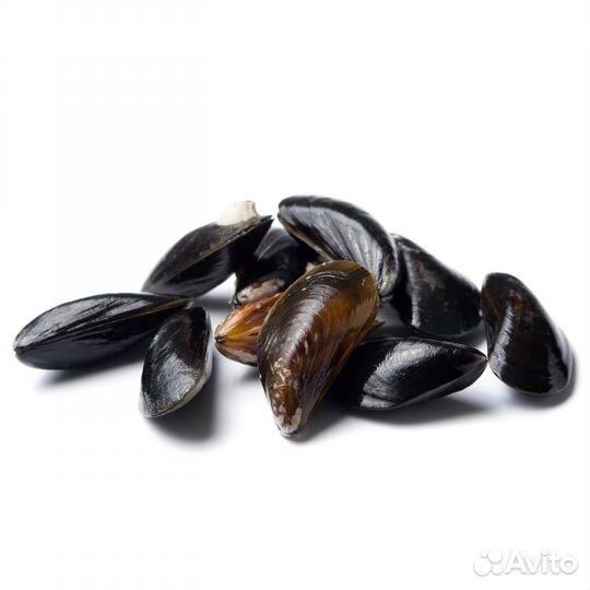 Морепродукты (гребешки, мидии, осьминог, кальмары)