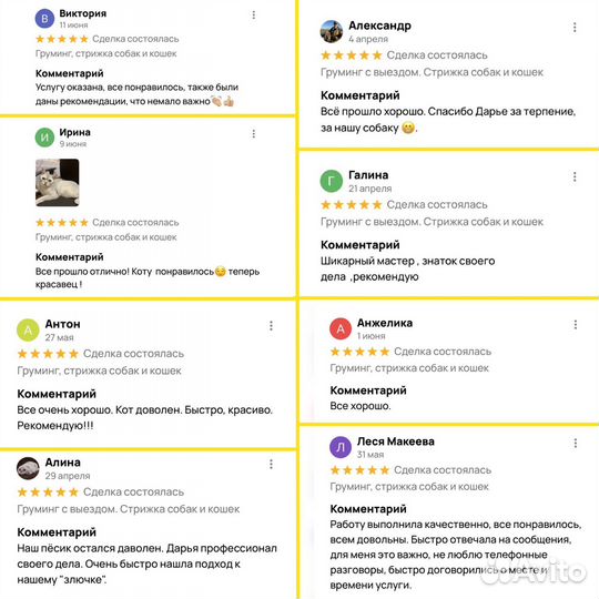 Груминг, стрижка собак и кошек