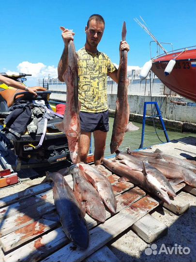 Морская прогулка рыбалка