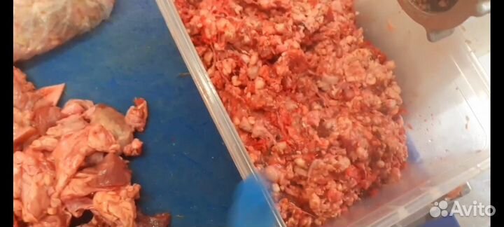 Фарш для собак