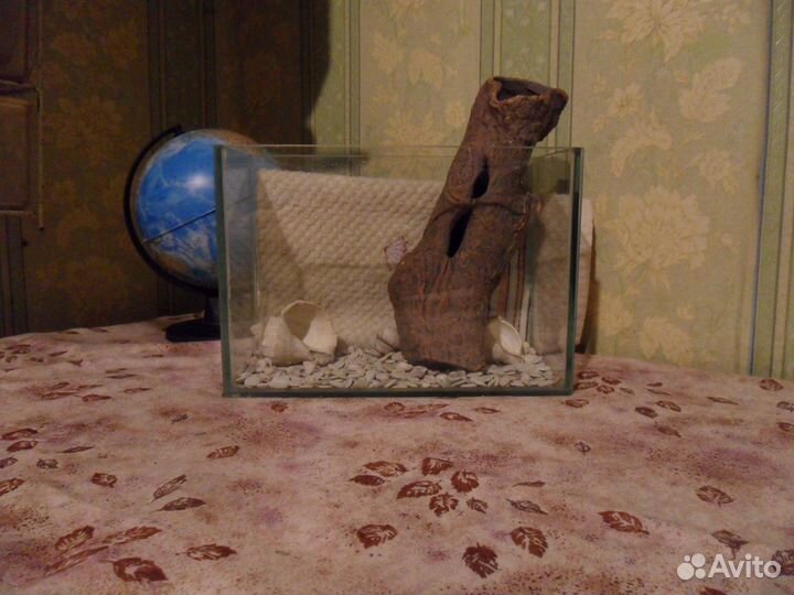 Черное море. Грот