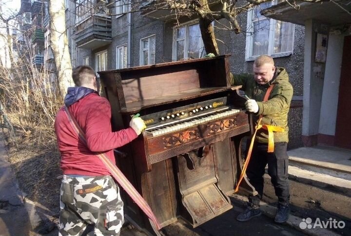 Услуги грузчиков. Вывоз мусора. Транспорт