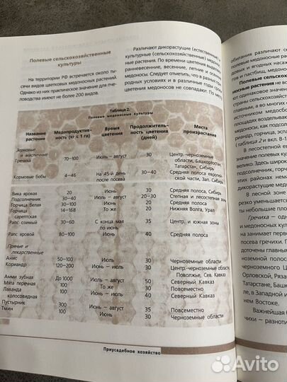 Пчеловодство, Советы Тимирязевской академии