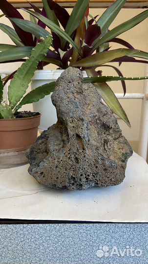 Камень для аквариума