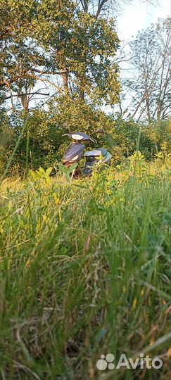 Продам скутер