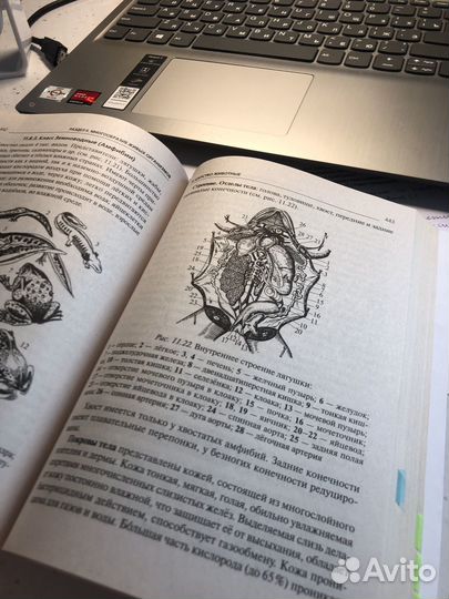 Справочник биология ЕГЭ и ОГЭ