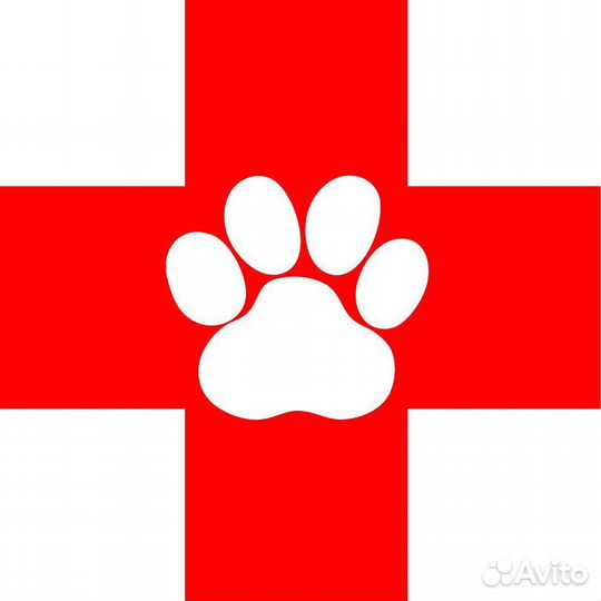 Ветеринарный врач на дом