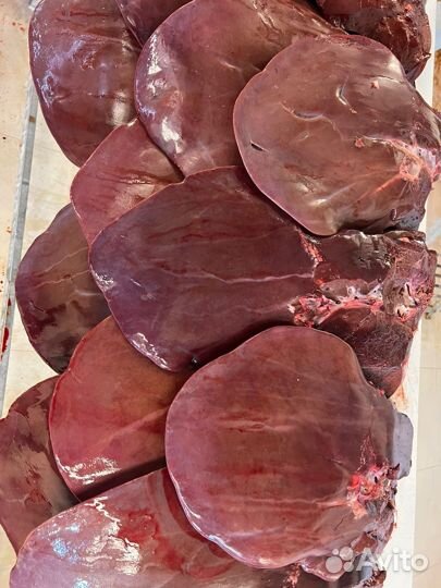 Корм для домашних питомцев опт