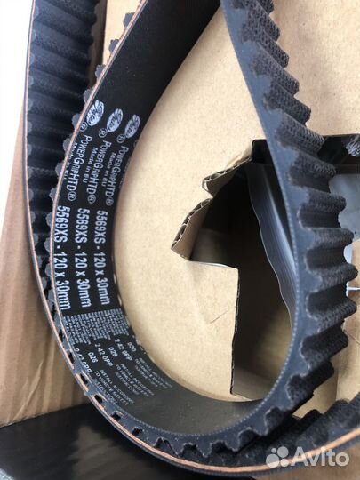 Комплект ремня грм + насос водяной KP55569XS4