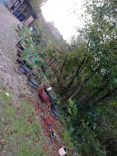 Дача 40 м² на участке 10 сот.