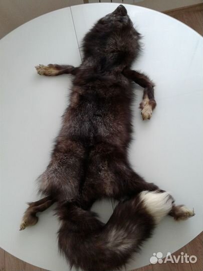 Шкурки чернобурки