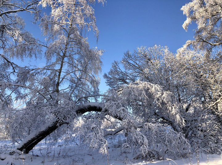 Участок 23 сот. (ИЖС)