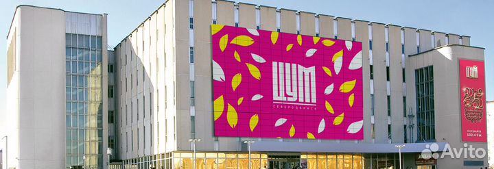 Asus K50AF (Ленина 30)