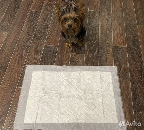 Пеленки для животных 60/60 собак, кошек