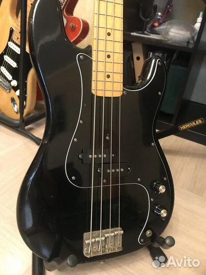 Fresher Personal Bass Japan